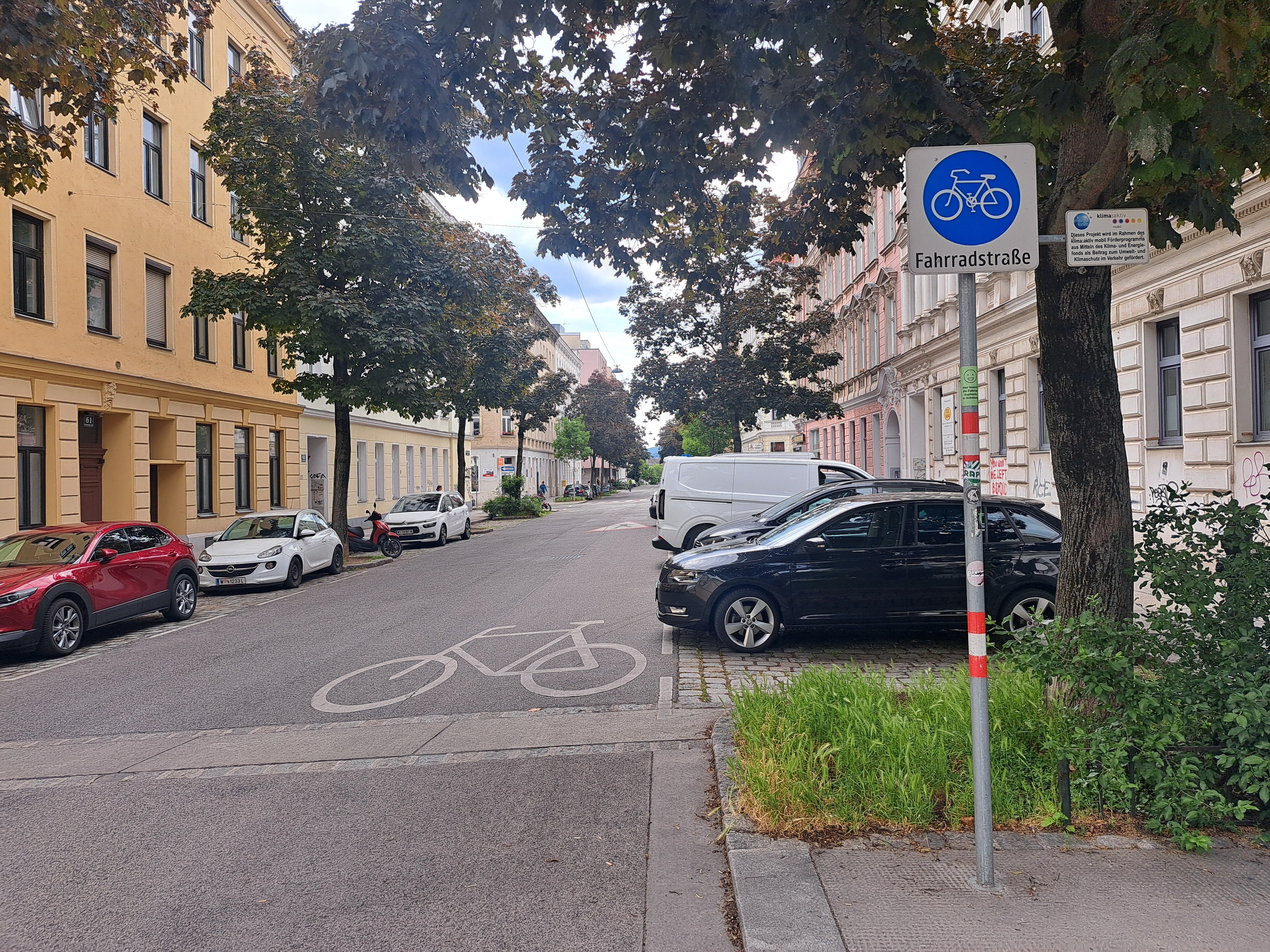 Fahrradstraße in der Goldschlagstraße in Wien